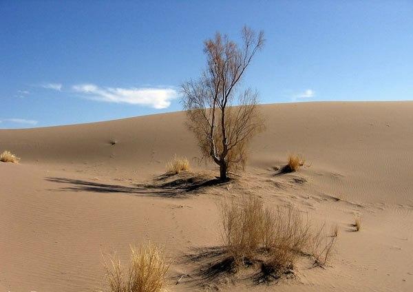 3289 - تاثير يخ خنک کننده در جليقه در هوايي گرم و خشک